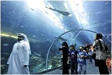 A shopping centre in Dubai with an aquarium (photo: AP)